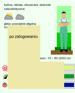 wymagania uprawowe Polygonatum (kokoryczka)
