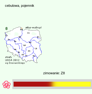 wymagania uprawowe Gloriosa rothschildiana (glorioza Rotszylda)