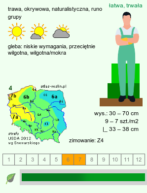 wymagania uprawowe Luzula luzuloides (kosmatka gajowa)