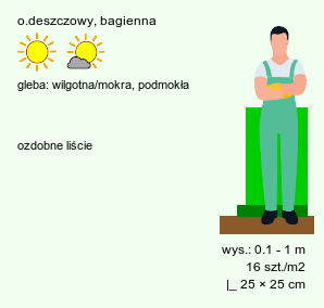 wymagania uprawowe Eleocharis palustris (ponikło błotne)