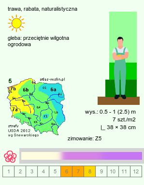 wymagania uprawowe Melica altissima (perłówka wyniosła)