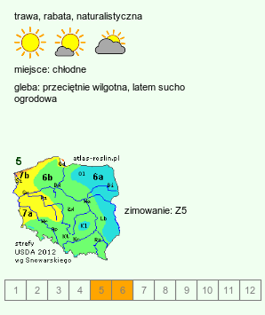 wymagania uprawowe Melica (perłówka)