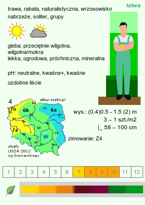 wymagania uprawowe Molinia arundinacea s.str. (trzęślica trzcinowata)