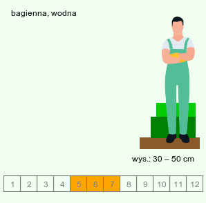 wymagania uprawowe Orontium aquaticum (oroncium wodne)