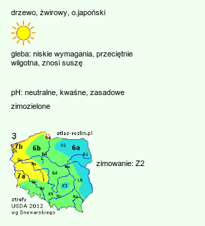 wymagania uprawowe Pinus sylvestris (sosna zwyczajna)