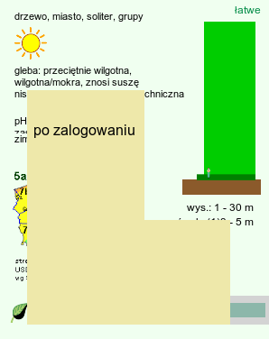 wymagania uprawowe Picea omorika (świerk serbski)