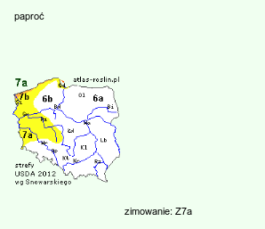 wymagania uprawowe Adiantum capillus-veneris (niekropień delikatny)