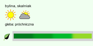 wymagania uprawowe Asplenium (zanokcica)