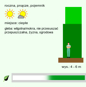 wymagania uprawowe Humulus scandens (chmiel japoński)