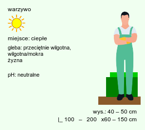 wymagania uprawowe Cucurbita (dynia)