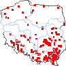 wystepowanie - Chenopodium pedunculare (komosa szypułowa)