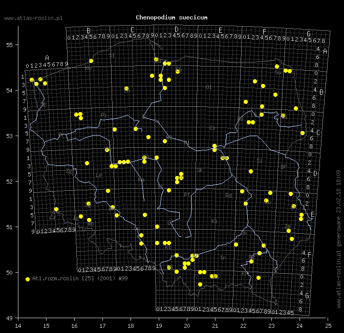 wystepowanie - Chenopodium suecicum (komosa zielona)