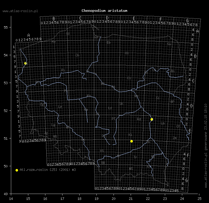 wystepowanie - Chenopodium aristatum (komosa oścista)