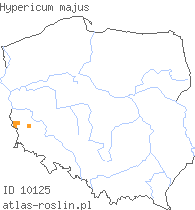wystepowanie - Hypericum majus (dziurawiec większy)