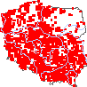 wystepowanie - Chenopodium glaucum (komosa sina)