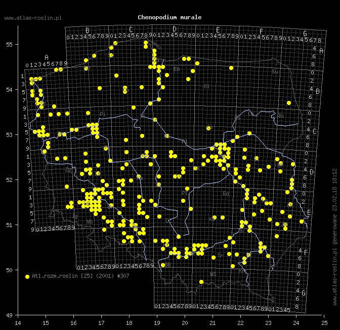 wystepowanie - Chenopodium murale (komosa murowa)