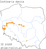 wystepowanie - Cochlearia danica (warzucha duńska)
