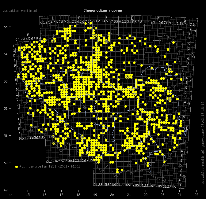 wystepowanie - Chenopodium rubrum (komosa czerwonawa)