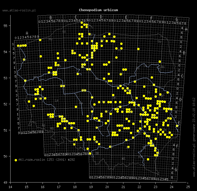wystepowanie - Chenopodium urbicum (komosa trójkątna)