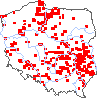 wystepowanie - Chenopodium urbicum (komosa trójkątna)