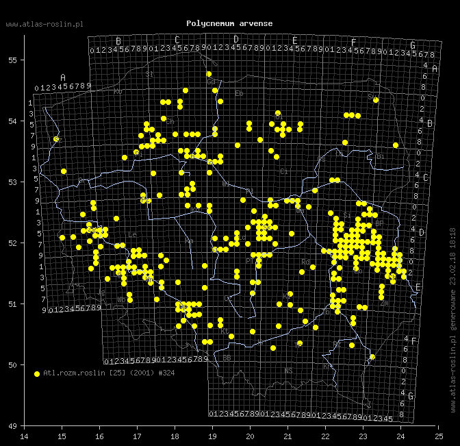 wystepowanie - Polycnemum arvense (chrząstkowiec polny)