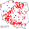 wystepowanie - Amaranthus powellii (szarłat prosty)