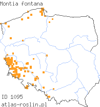 wystepowanie - Montia fontana (zdrojek błyszczący)