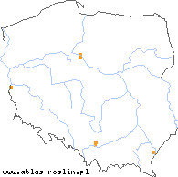 wystepowanie - Oxybaphus nyctagineus (ostrobarw rzepieniolistny)