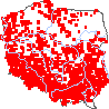 wystepowanie - Reynoutria japonica (rdestowiec ostrokończysty)