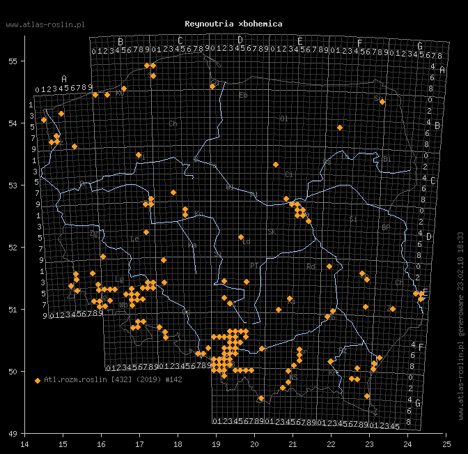 wystepowanie - Reynoutria ×bohemica (rdestowiec pośredni)