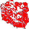 wystepowanie - Polygonum minus (rdest mniejszy)