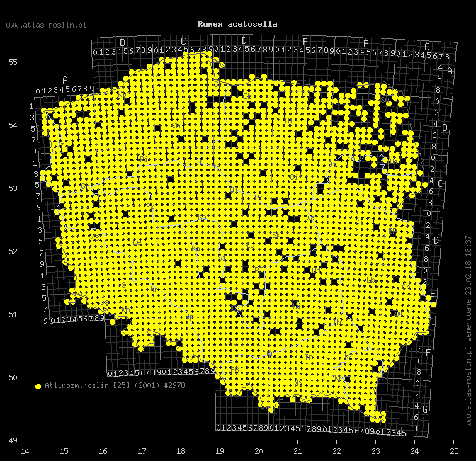 wystepowanie - Rumex acetosella (szczaw polny)