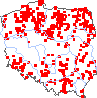 wystepowanie - Rumex aquaticus (szczaw wodny)