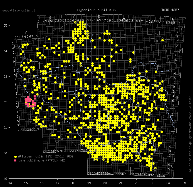 wystepowanie - Hypericum humifusum (dziurawiec rozesłany)