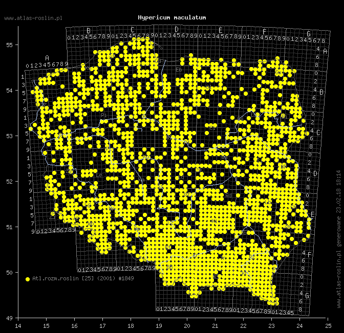 wystepowanie - Hypericum maculatum (dziurawiec czteroboczny)
