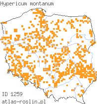 wystepowanie - Hypericum montanum (dziurawiec skąpolistny)