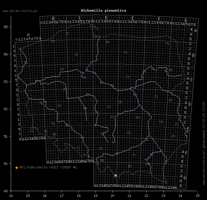 wystepowanie - Alchemilla giewontica (przywrotnik giewoncki)