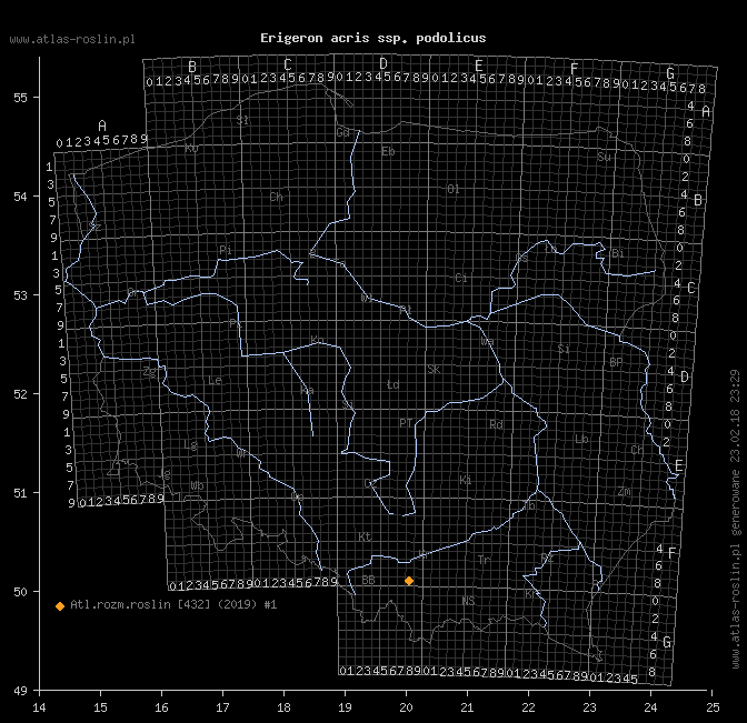 wystepowanie - Erigeron acris ssp. podolicus (przymiotno ostre podolskie)