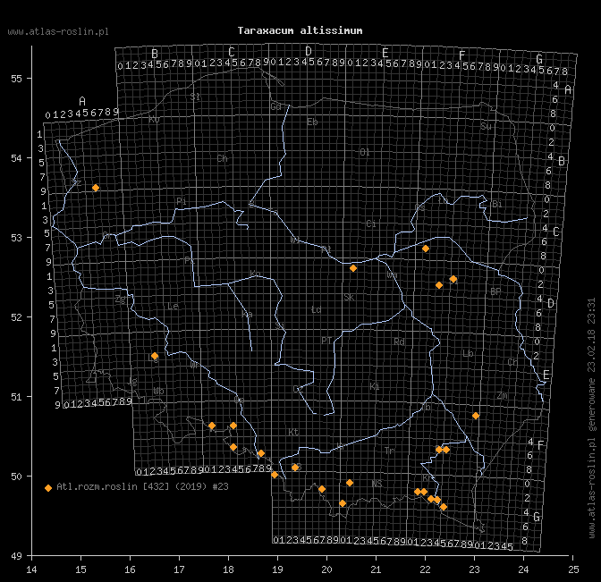 wystepowanie - Taraxacum altissimum (mniszek wysoki)