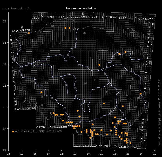 wystepowanie - Taraxacum sertatum (mniszek zwieńczony)