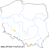 wystepowanie - Taraxacum madidum (mniszek wilgotny)