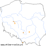 wystepowanie - Taraxacum parnassicum (mniszek śląski)