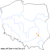 wystepowanie - Taraxacum sandomirense (mniszek sandomierski)