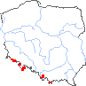 wystepowanie - Viola lutea ssp. sudetica (fiołek żółty sudecki)