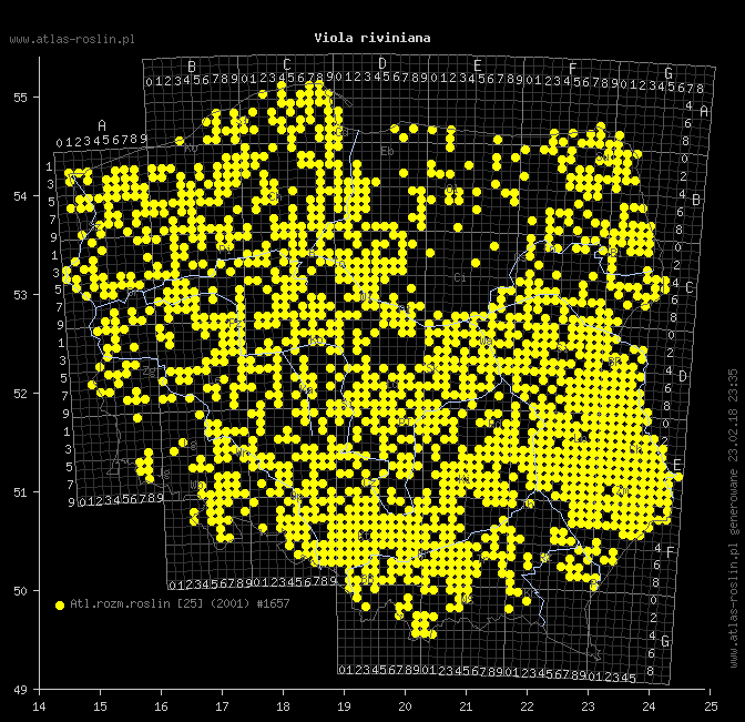 wystepowanie - Viola riviniana (fiołek Rivina)