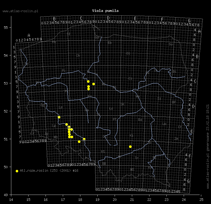 wystepowanie - Viola pumila (fiołek drobny)