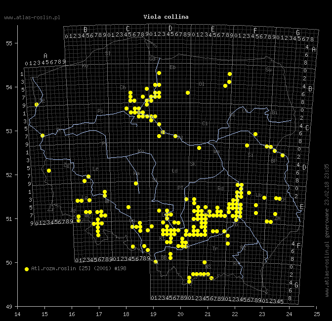 wystepowanie - Viola collina (fiołek pagórkowy)