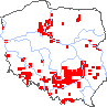 wystepowanie - Viola collina (fiołek pagórkowy)