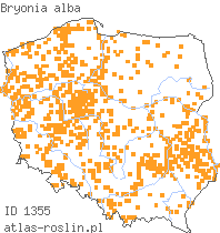 wystepowanie - Bryonia alba (przestęp biały)