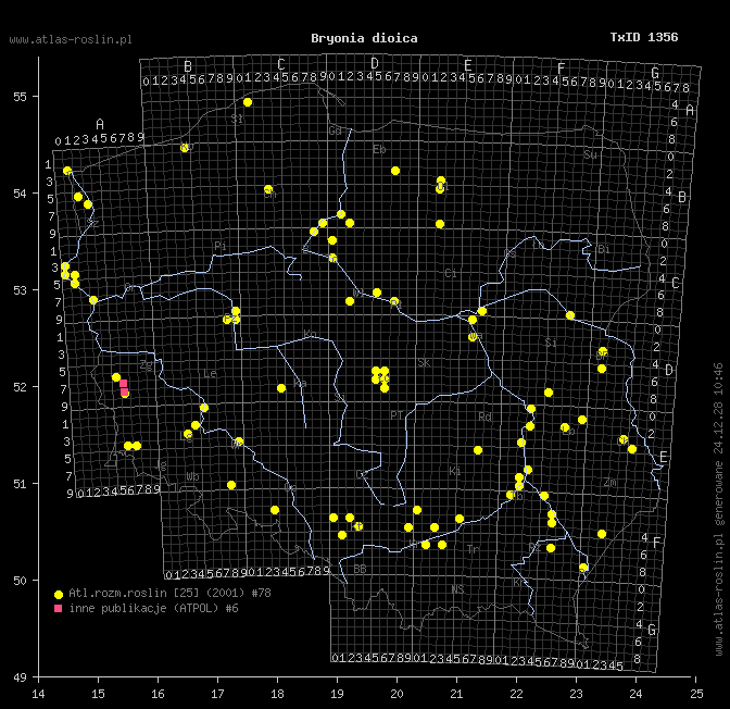 wystepowanie - Bryonia dioica (przestęp dwupienny)